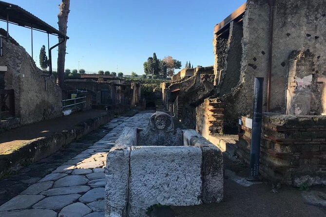 Herculaneum - Private Tour (skip-the-line admission included) - Who This Tour Fits Best (and Who Might Want More Time)