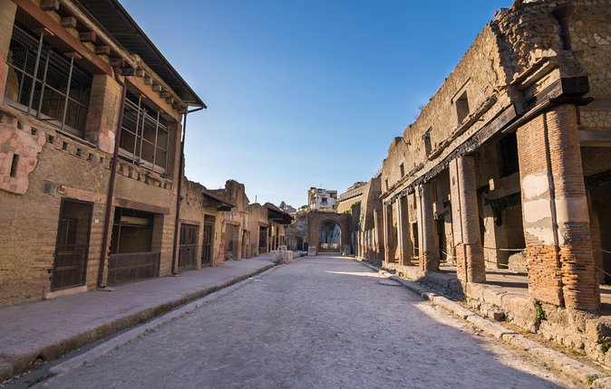 Herculaneum Private Tour with an Archaeologist - House of the Black Salon and Samnitic House: status, style, and identity