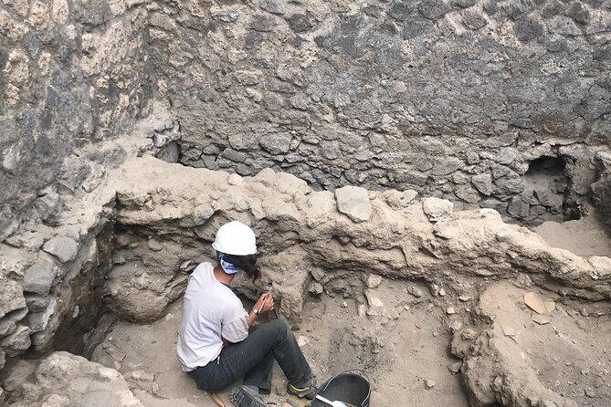 Herculaneum Private Tour with an Archaeologist - College of the Augustales: Hercules in Olympus and the human cost