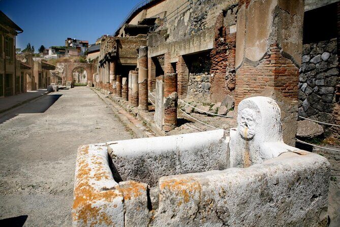 Herculaneum Private Walking Guided Tour 2 hours - Key highlights you’ll feel fast