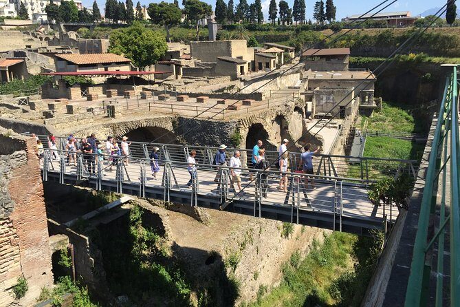 Herculaneum Private Walking Guided Tour 2 hours - Why the guides matter here (and who you might meet)