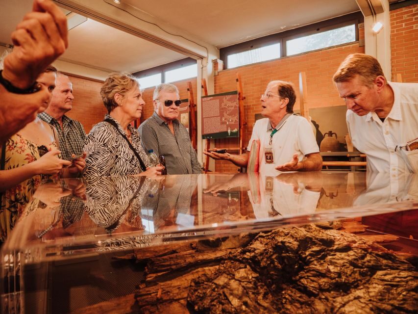 Herculaneum: Private Walking Tour with Archeologist Guide - Stop-by-stop: the 2-hour route that covers the town’s main stories