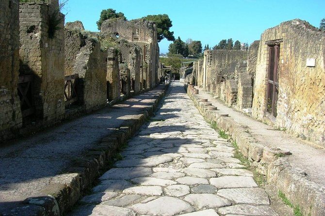 Herculaneum Ruins Private Half-Day Tour - Herculaneum Ruins by Private Car: The Best Way to Start