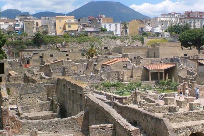 Herculaneum Ruins Private Half-Day Tour - Value for $212.76: When Private Transport Makes Sense