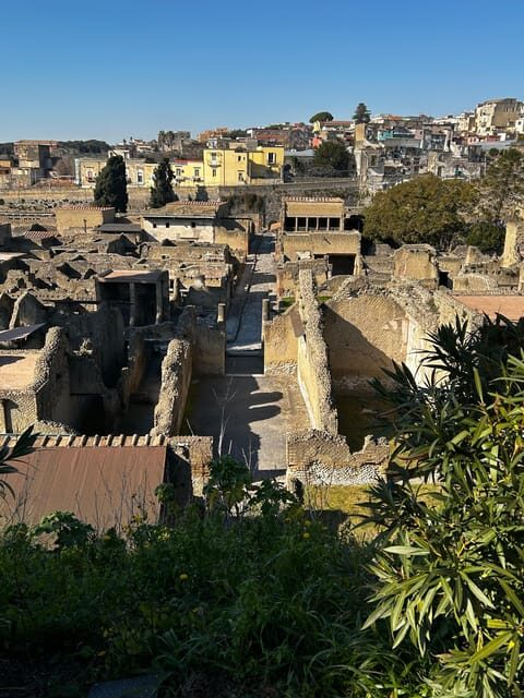 Herculaneum - Small Group Tour (admission included) - Ending near the site: add-on exhibits can extend the feeling