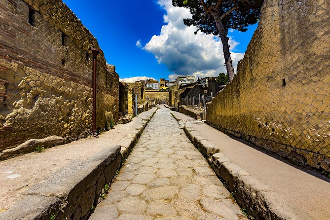 Herculaneum small group tour with an archaeologist - skip the line - House of the Grand Portal: Charred Details and Civic-Style Layouts