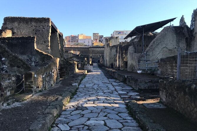 Herculaneum - Small Group Tour - Parco Acheologico di Ercolano: The Named Houses That Give You a Real Feel