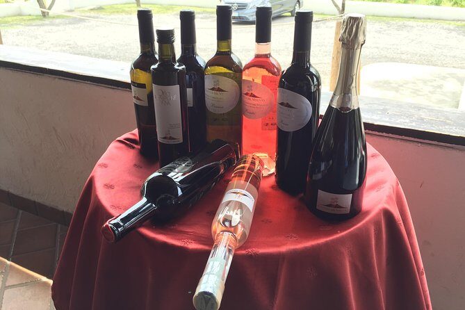 Herculaneum-Wine tour from Sorrento, with licensed guide included - Parco Acheologico di Ercolano: why the English licensed guide matters