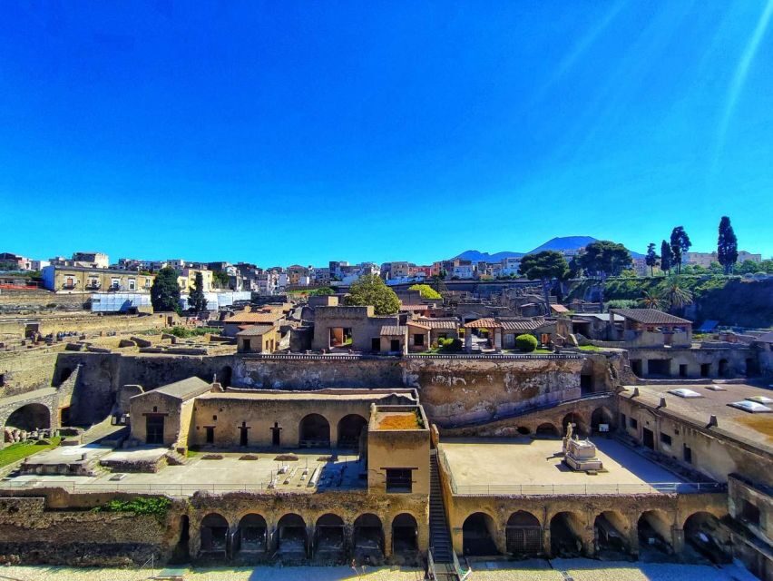 Herculaneum with an Archaelogical Guide & Ticket - Key Highlights at a Glance
