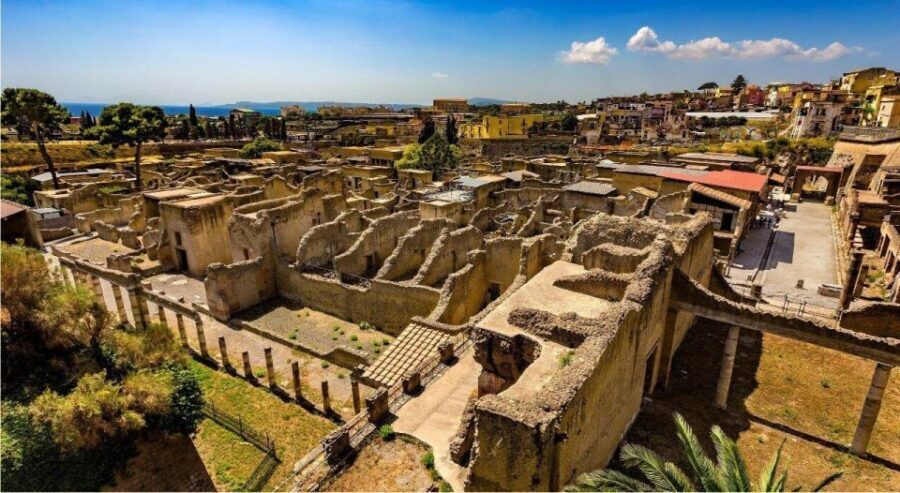 Herculaneum with an Archaelogical Guide & Ticket - The Archaeologist Guide Experience: How You’ll Get More Out of Every Stop