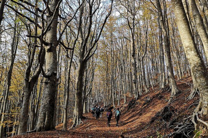 Hiking on Faito Mountain from Sorrento - What you’re hiking for: the views from Cilento to Vesuvio