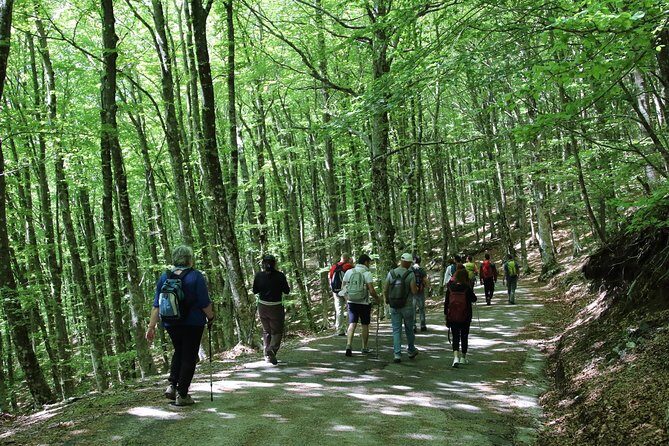 Hiking on Faito Mountain from Sorrento - Weather, shoes, and comfort tips that actually matter