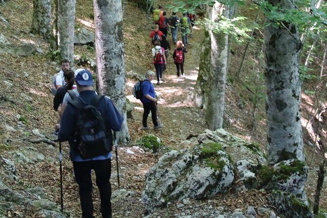 Hiking on Faito Mountain from Sorrento - Should you book this Faito Mountain hike?