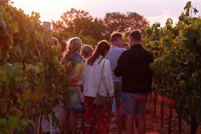 History & Local Wines: Amphitheater, Mitrium and Winery Visit - Price and logistics: how this tour earns its premium cost