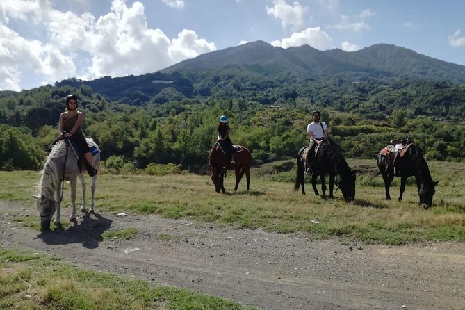 Horse Riding on Mount Vesuvius - Meeting at Piazza Ferrovia and Getting Up to the Ranch
