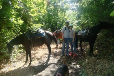 Horse Riding on Mount Vesuvius - The One-Hour Ride Through Vesuvius National Park