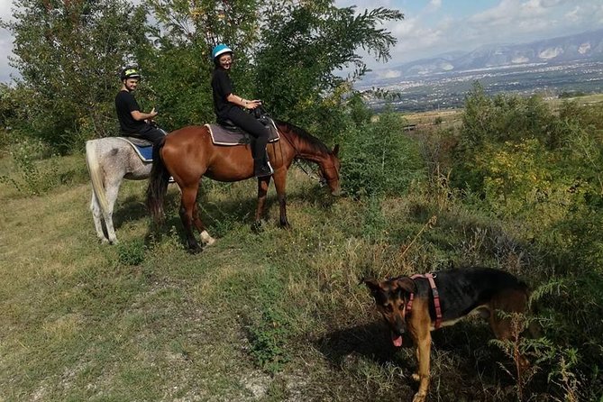 Horse Riding on Mount Vesuvius - Optional Grooming: Doing Something Real With Your Hands