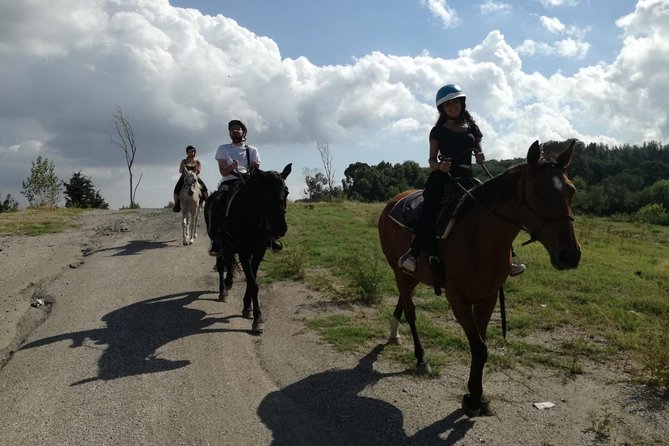 Horse Riding on Mount Vesuvius - Price and Value: Why $84.48 Can Make Sense