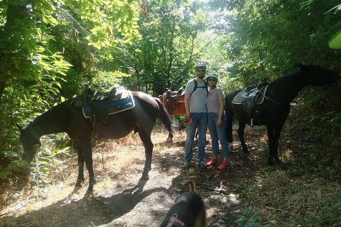 Horse Riding on Mount Vesuvius - The One-Hour Ride Through Vesuvius National Park