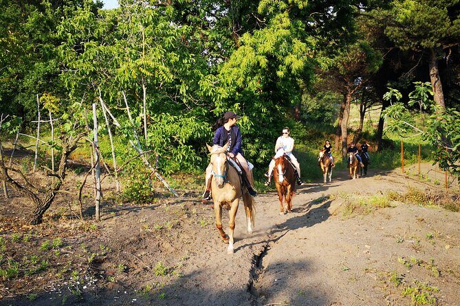 Horseback Riding on Vesuvius - Weather, photos, and setting expectations on a windy volcano