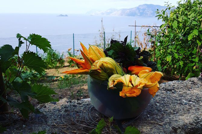 I offer cooking lesson of Amalfi tradition - Fresh pasta and dumplings: learning beyond one recipe