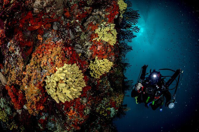 Immersion in Banco Santa Croce from Sorrento with Expert Guide - Your guide and equipment: where the experience earns its high rating