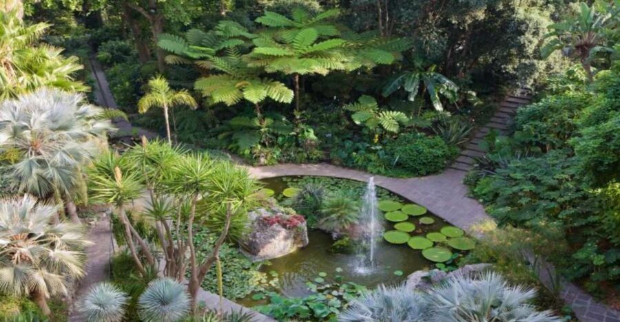 Ischia and Mortella Gardens Full-Day Tour from Sorrento - Key highlights before you go