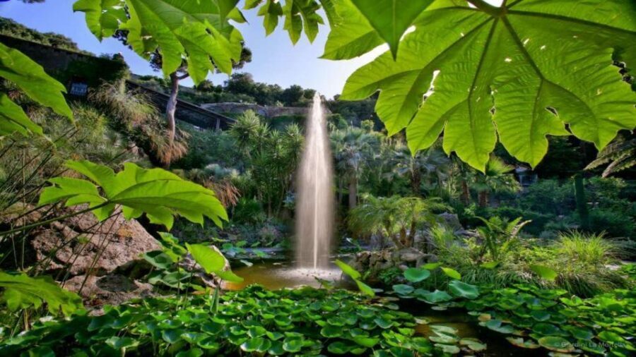 Ischia and Mortella Gardens Full-Day Tour from Sorrento - Forio and La Mortella: why this garden has a cult following