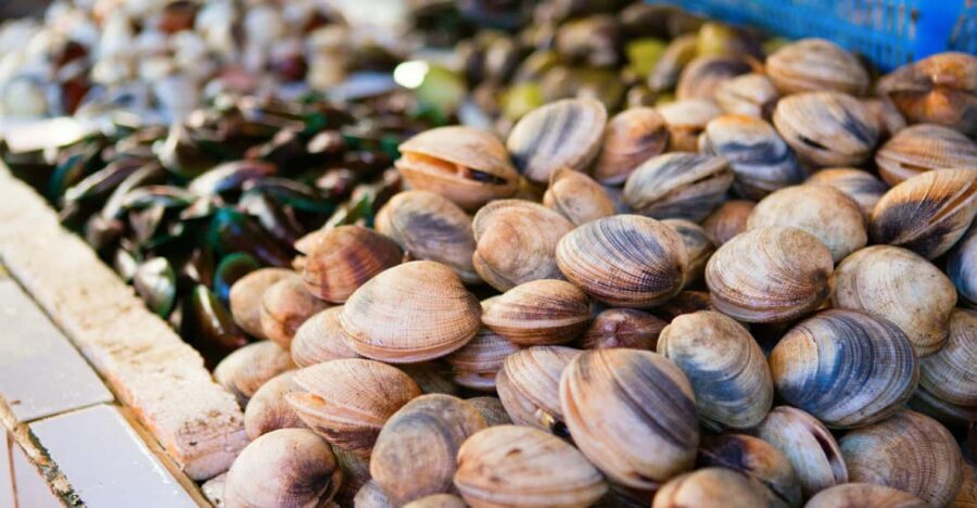 Ischia: Market Tour & Cooking Class at a Local's Home - The Market Visit: Learn What to Buy (and What to Skip)