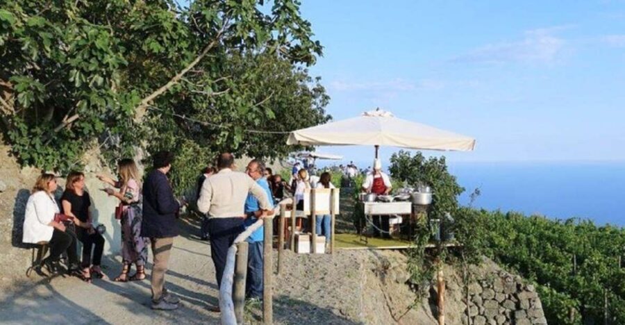 Ischia: Vineyard Tour & Wine Tasting Experience w/ Transfers - Key highlights you’ll actually feel