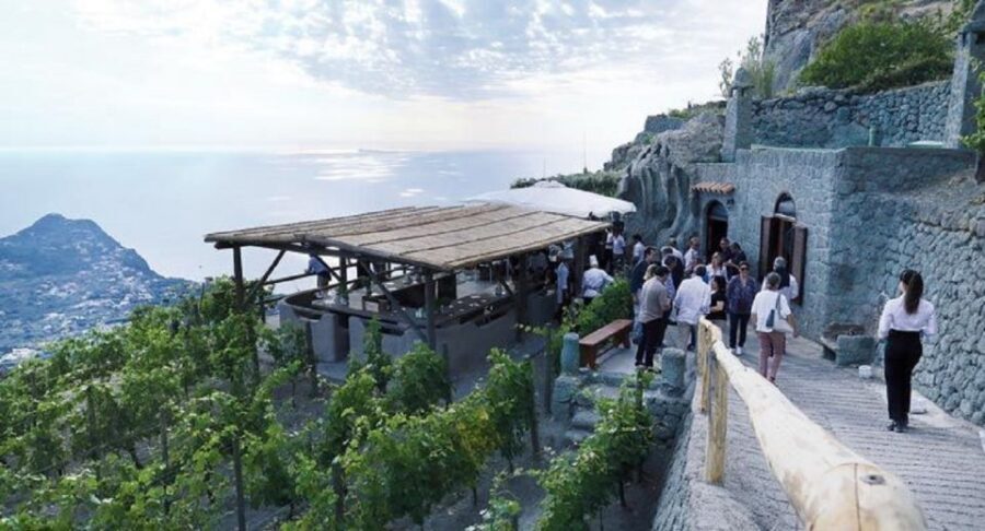 Ischia: Vineyard Tour & Wine Tasting Experience w/ Transfers - Why an Ischia Vineyard Tasting Feels Worth Your Time