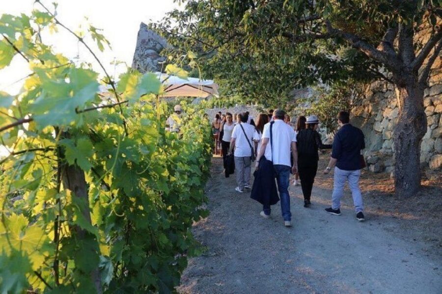 Ischia: Vineyard Tour & Wine Tasting Experience w/ Transfers - The Timing Breakdown: What Happens During the 3 Hours