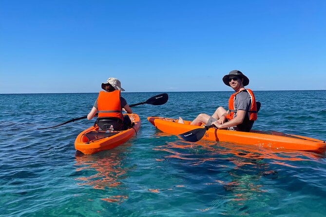 Kayak Tour with Local Guide - Stop 1: Spiaggia di Cava dell’Isola for a Wild First Hour