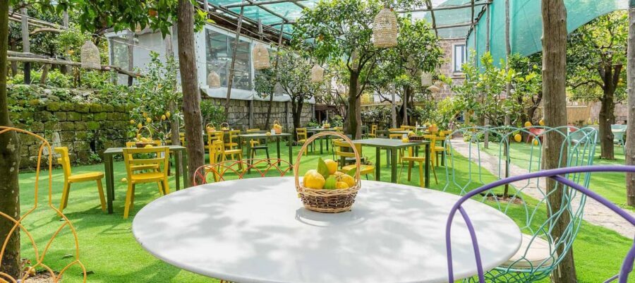 Lemon Tour with Lunch/Dinner - First Stop: Where This Lemon Tour Starts in Sorrento