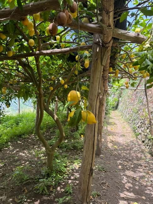 Maiori: Hiking Tour to A Lemon Farm with Lemon Tastings - Via San Pietro: where the climb turns into coastal photo time