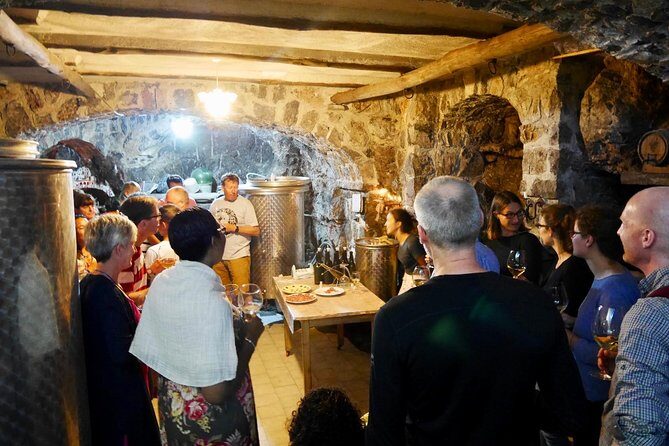 Milk the Cow & Make Mozzarella and Gnocchi with Our Family - Start in Agerola: Coffee, Vineyard Views, and Organic Wine in an Ancient Cellar