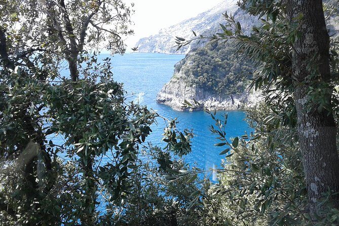 Minivan Tour | Amalfi Ravello and Pompeii with driver - From Naples port to the Amalfi Coast: setting your day up right