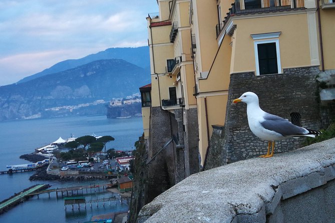 Minivan Tour | Positano Sorrento and Pompeii whit local driver - Positano Views: How the Stops Make the Photos Actually Work