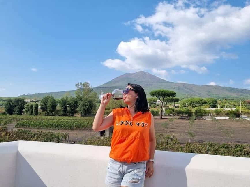 Mount Vesuvius: 5 Wine Tastings with Tour & Lunch Included - Vineyard walk: volcanic terroir and real uphill terrain