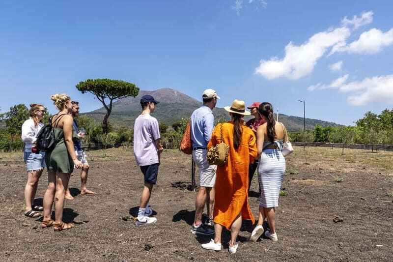 Mount Vesuvius: 5 Wine Tastings with Tour & Lunch Included - Lunch pairings with Piennolo tomatoes and Neapolitan pastiera