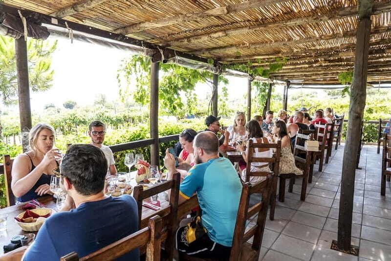 Mount Vesuvius: 5 Wine Tastings with Tour & Lunch Included - Tips to make the most of your visit