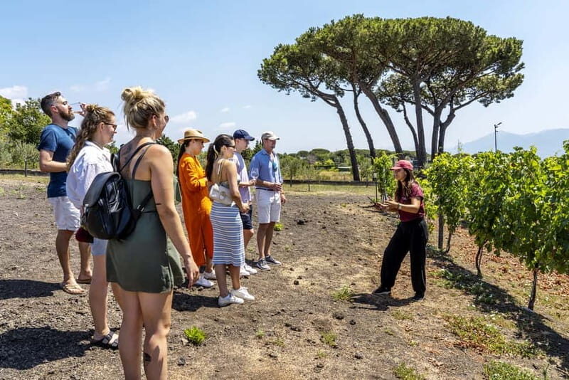 Mount Vesuvius: 5 Wine Tastings with Tour & Lunch Included - Arriving at Cantina del Vesuvio Winery (and getting inside)