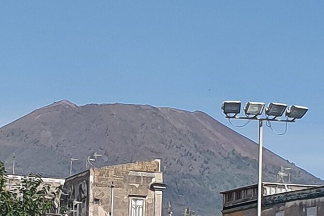 Mount Vesuvius and Pompeii private tour - Naples-to-Vesuvius Comfort: The value of a private ride