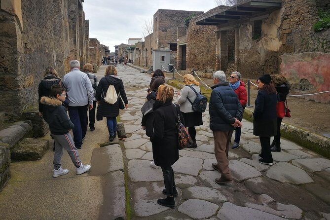 Mount Vesuvius Shore Tour, Pompeii & Winery Vesuvius Winery - Pompeii’s buried streets: where your guide time pays off