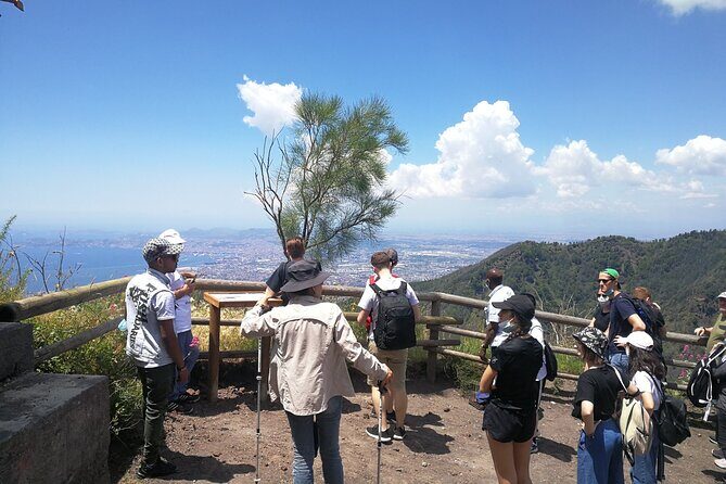 Mount Vesuvius Shore Tour, Pompeii & Winery Vesuvius Winery - Price and value: what $276.67 really covers