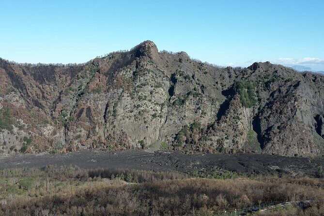 Mount Vesuvius tour by bus and ticket included from Ercolano - Ticketing, Mobile Entry, and Why This Works on Sold-Out Days