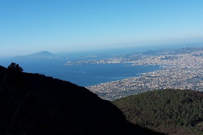 Mount Vesuvius tour by bus and ticket included from Ercolano - Luggage, Comfort, and the Small Group Advantage