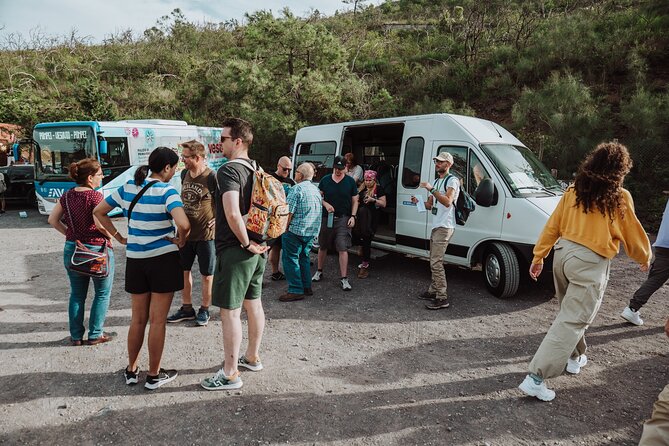 Mount Vesuvius Tour from Pompeii Led by an Expert Guide - Crater views and photo time: clear skies help, but you still get the pay-off