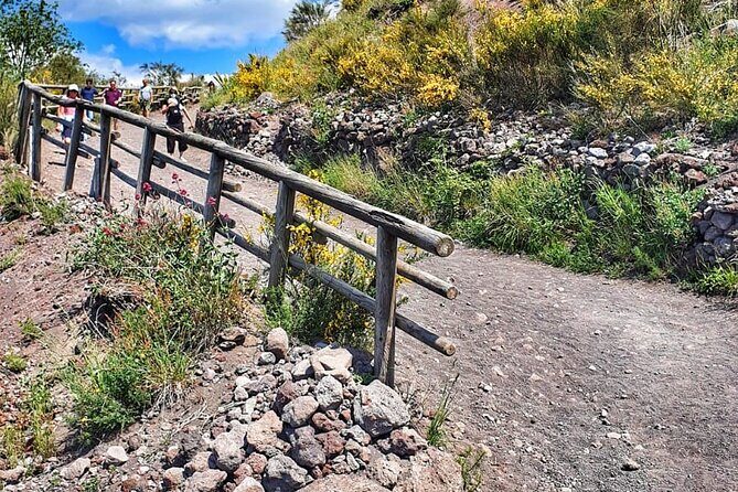 Mount Vesuvius Tour with Entry Ticket & Lunch - How the day fits together: two park moments, one big story