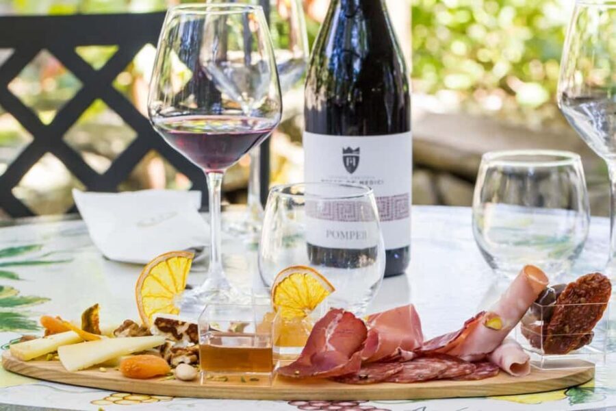 Mount Vesuvius Wine Tasting and Lunch from Pompeii - Key highlights worth circling